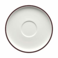 Schonwald Shiro Rim Cup and Saucer